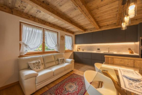 Incantevole appar chalet nuovo Borca Di Cadore